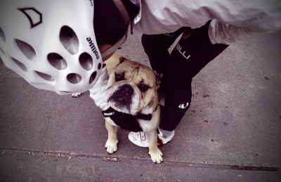 Mr. Beefy