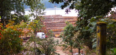 Lumber Mill in Camas, WA