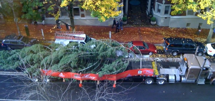 Holiday Tree Arrival