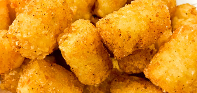 Tater tots from the 503 Burger Co. food cart