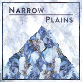 Narrow-Plains-Cover-LOW-RES