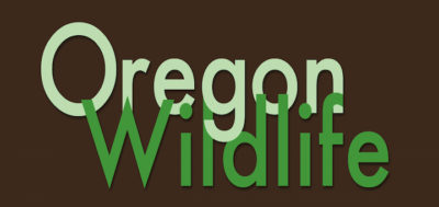 Oregon Wildlife Foundation