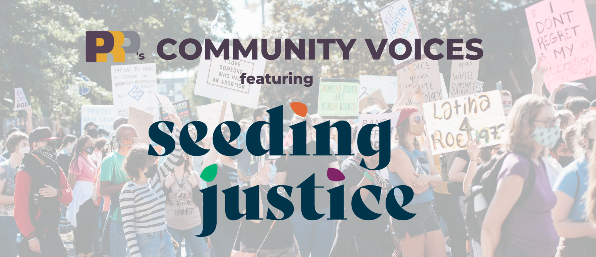 Community Voices:  Seeding Justice